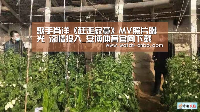 歌手肖洋《赶走寂寞》MV照片曝光 深情投入_安博体育官网下载