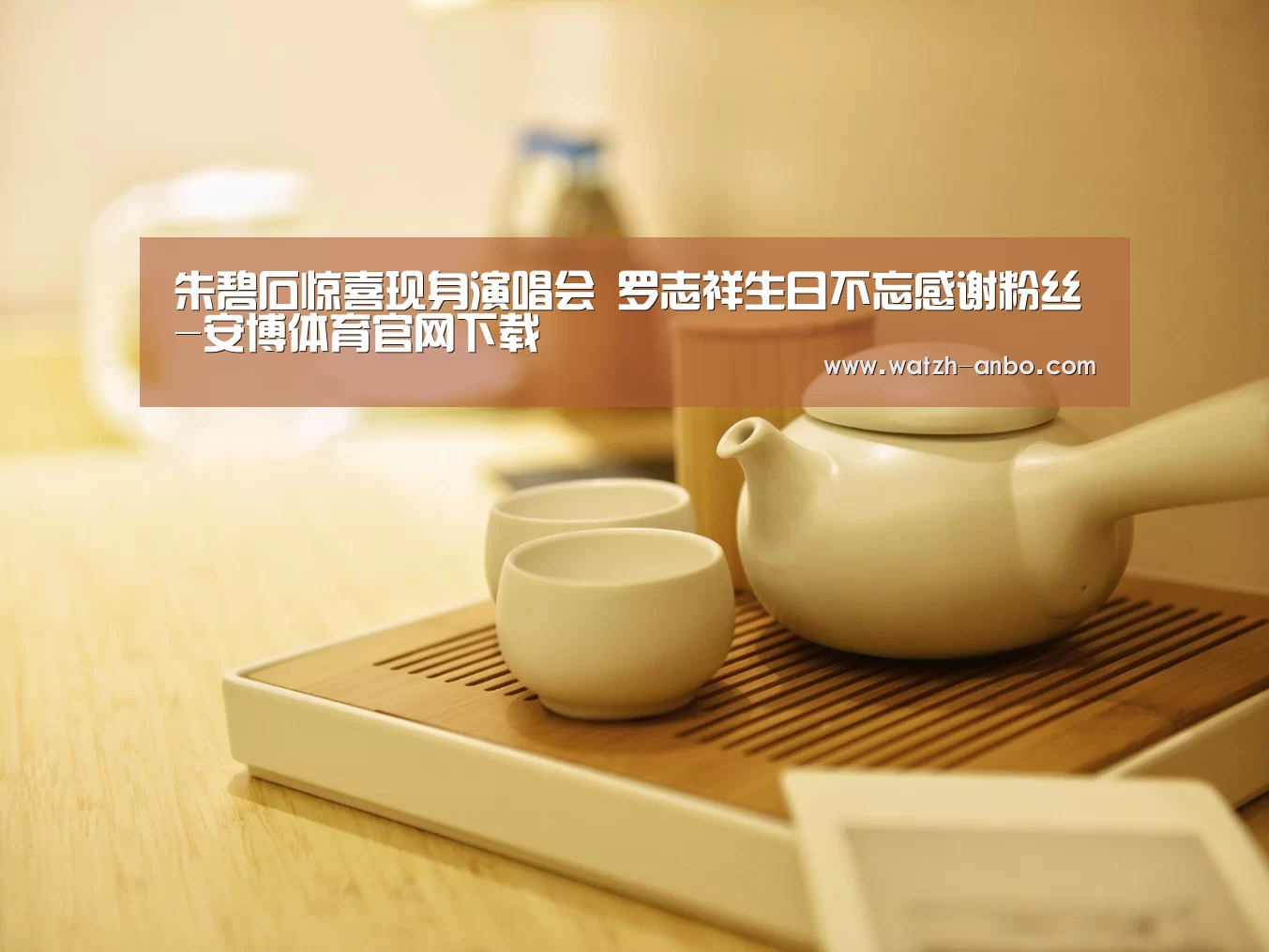 朱碧石惊喜现身演唱会 罗志祥生日不忘感谢粉丝-安博体育官网下载(图2) 安博体育官网下载