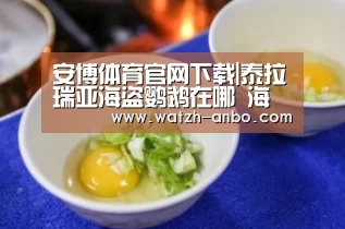 安博体育官网下载