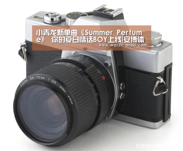 小青龙新单曲《Summer Perfume》 你的夏日情话BOY上线|安博体育官网下载